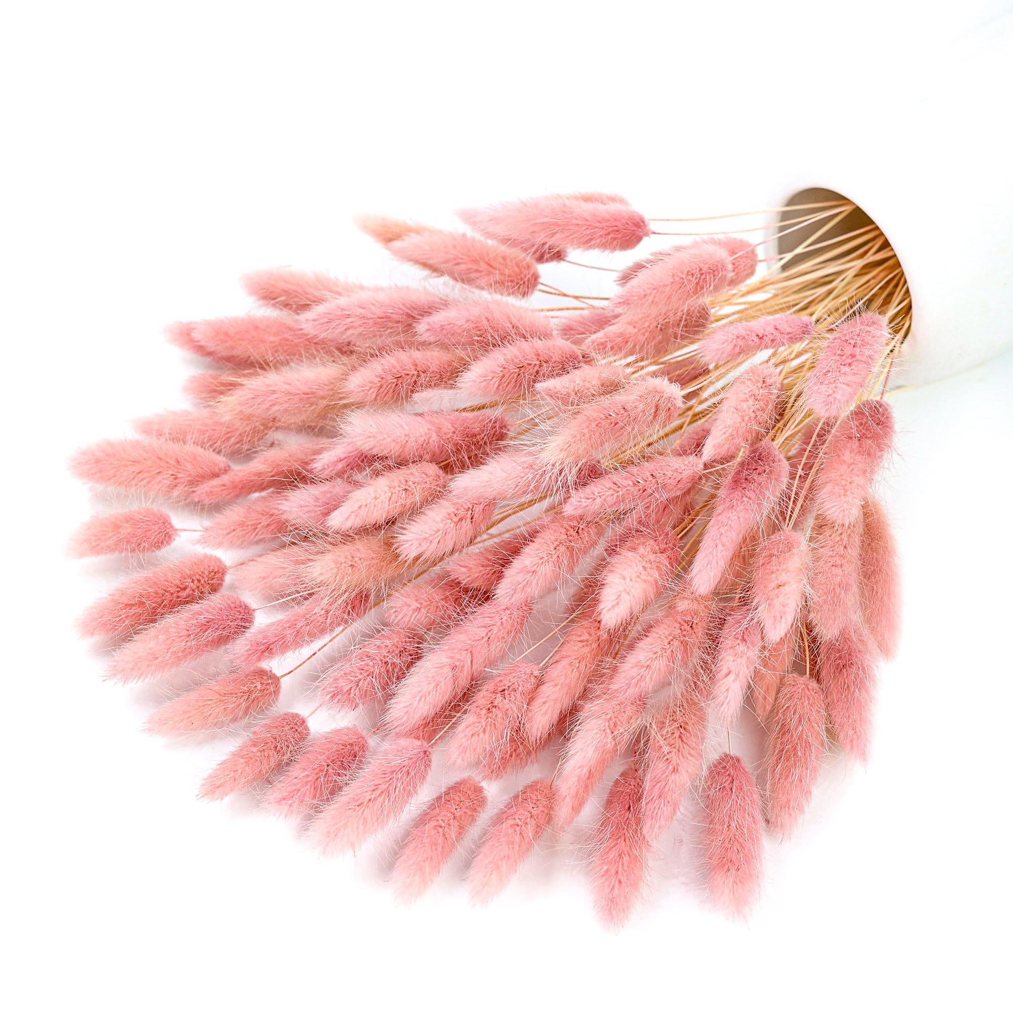 Pampas Grass Decor - 120 Saplı Pembe Kurutulmuş Pampas Tavşan