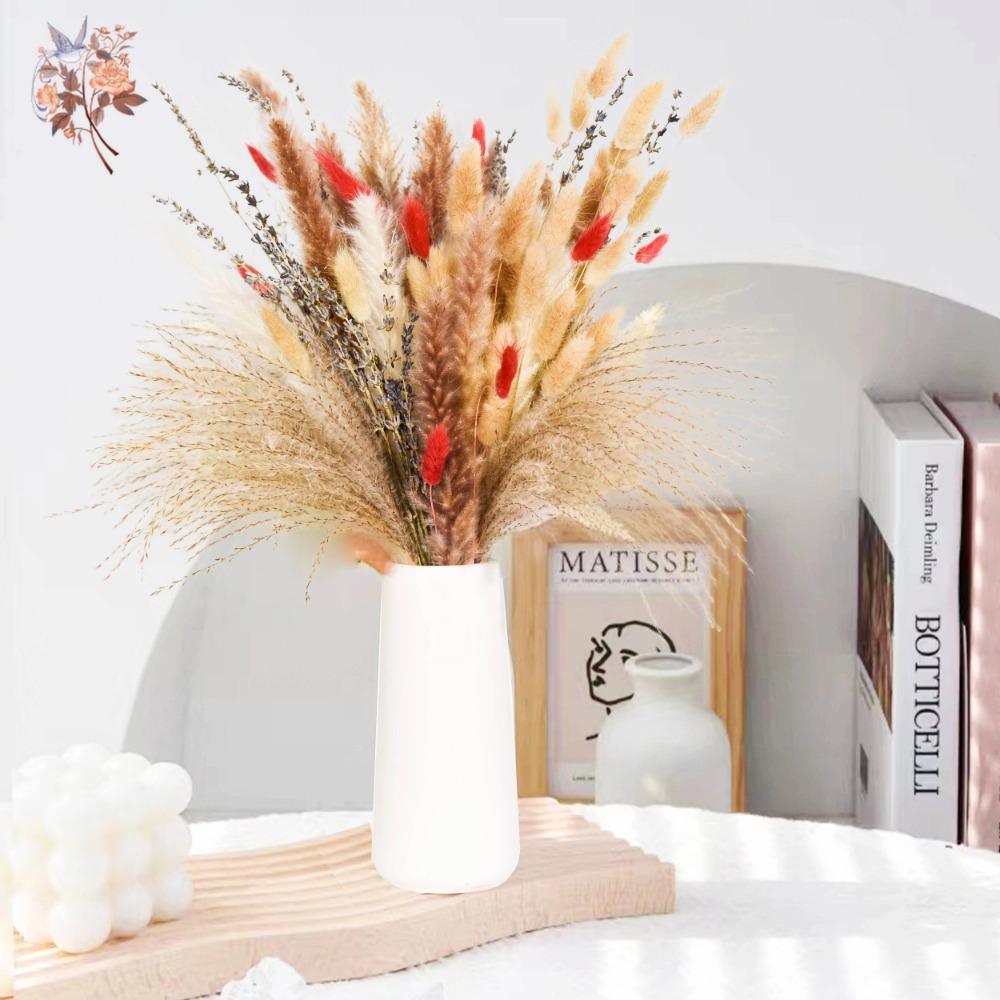 Doğal Pampas Lavanta Kurutulmu - Pampas Grass Decor incelemesi ve fiyatı