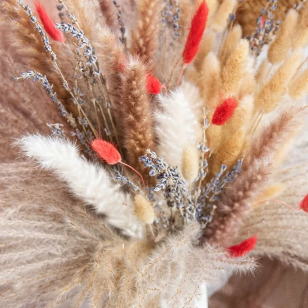 Doğal Pampas Lavanta Kurutulmu - Pampas Grass Decor incelemesi ve fiyatı