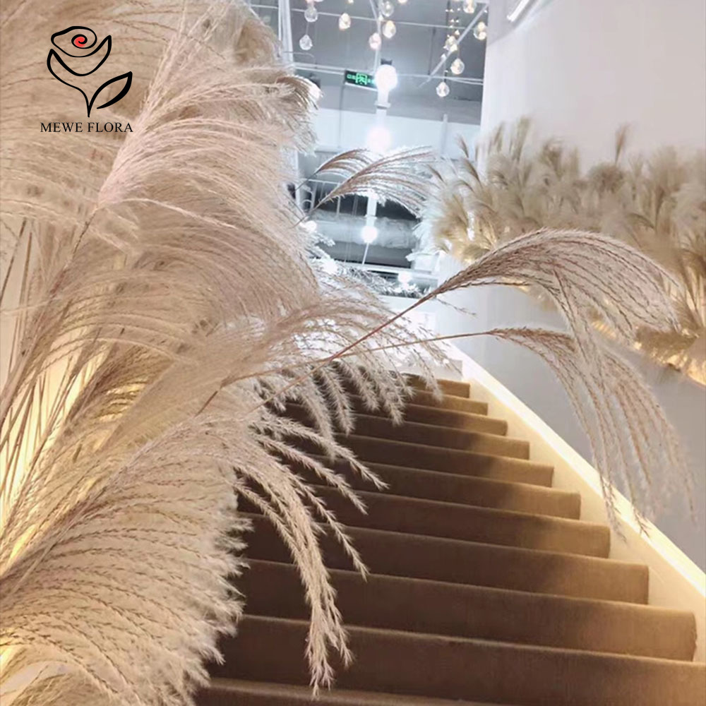 200 adet doğal kurutulmuş kaba - Pampas Grass Decor incelemesi ve fiyatı