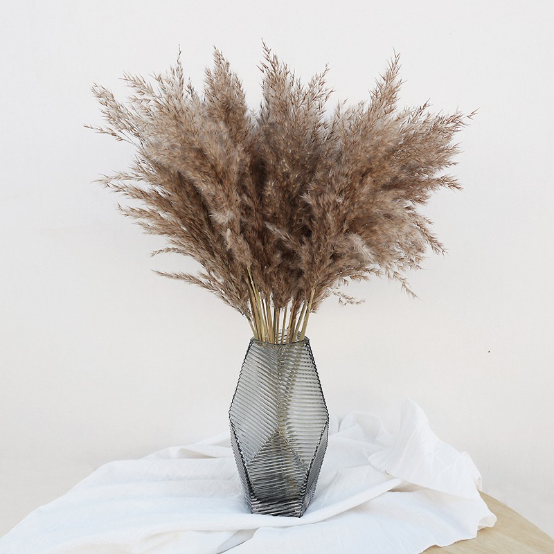 10 Adet Renkli Doğal Sazlık Pa - Pampas Grass Decor incelemesi ve fiyatı